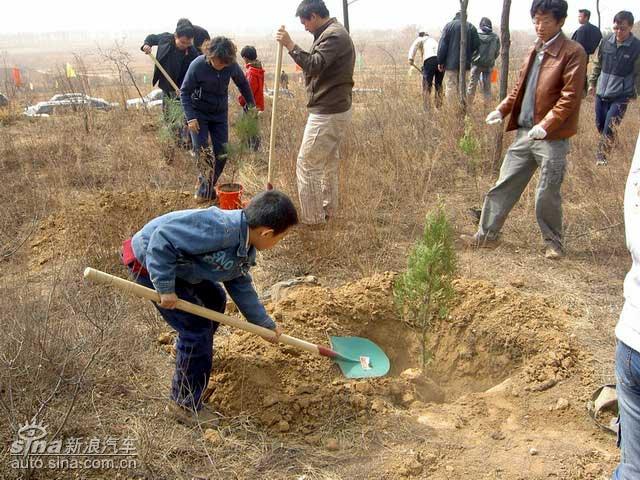 植樹活動