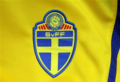 瑞典国家队队徽图片