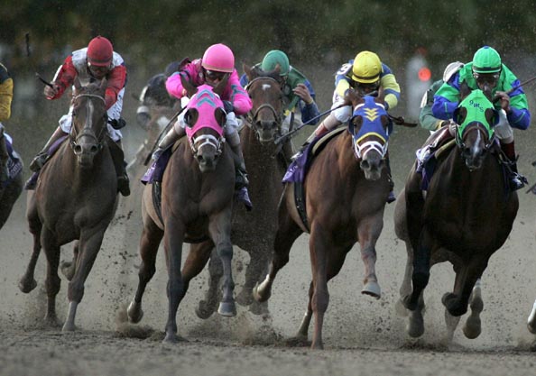 圖文-紐約育馬者盃賽馬大會 賽道揚沙駿馬奔馳_綜合體育_nike新浪競技