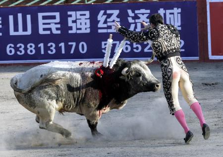 花标斗牛图片